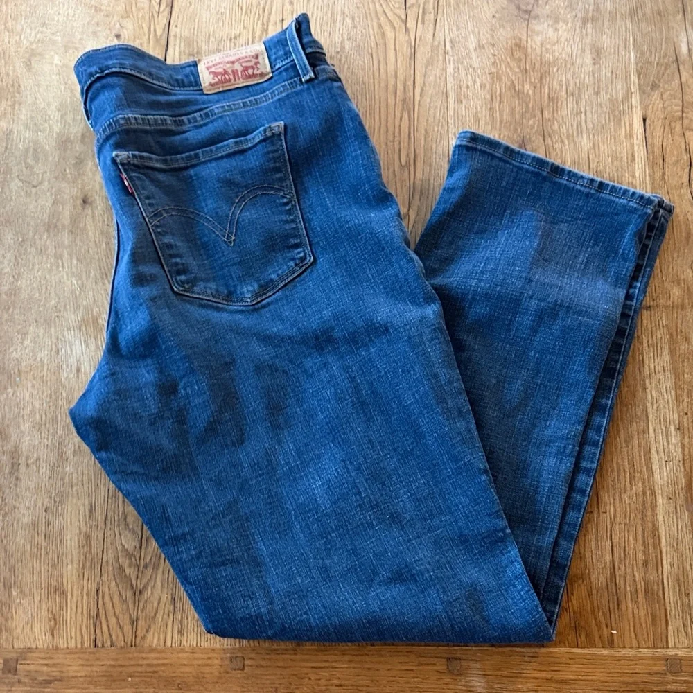 Levi Strauss Blue Denim Jeans